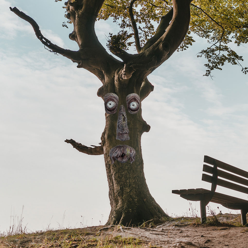 Hars Betoverende Tuin Met Boom - Resin Art Tree recensie en prijs