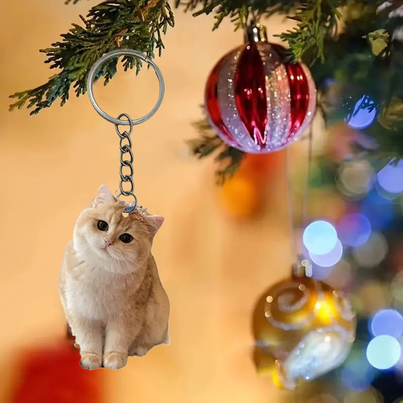 Zwart-witte kat sleutelhanger  - Resin Art Keychain Design recensie en prijs