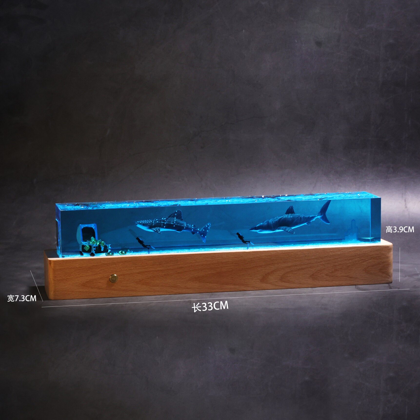 Creatief helende onderwater-mi - Resin Art Underwater recensie en prijs